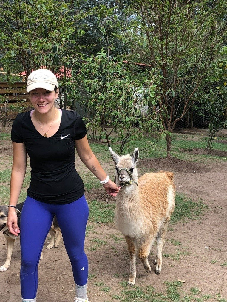 Top Reasons to Try Animal Rescue Volunteering in Ecuador This Year