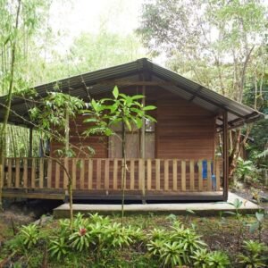 WhatsApp Image 2026-01-13 at 12.45.29 (1)