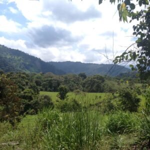 WhatsApp Image 2026-01-13 at 13.07.44 (6)