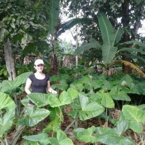 WhatsApp Image 2026-02-10 at 15.30.01