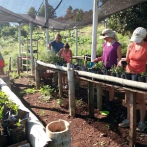 WhatsApp Image 2026-02-10 at 15.30.02 (4)